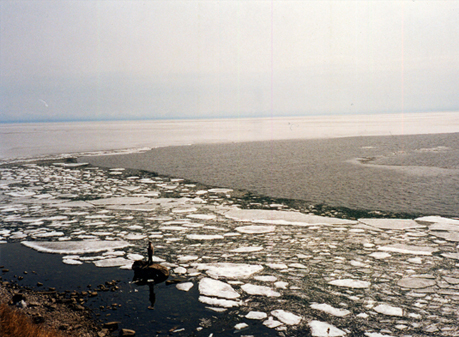 Ice