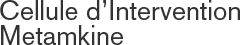 Cellule d'Intervention Metamkine